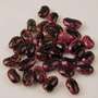 Lentils, beans, legumes - dried  Lentils, beans, legumes - dried