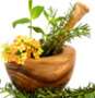 Asian spices, flavors (various) Diverse preparation of Asian dishes Asian spices, flavors (various) Diverse preparation of Asian dishes