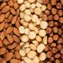 Nuts, kernels, seeds Other Nuts, kernels, seeds Other