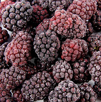 Brombeeren ganz - 10 kg - Beutel