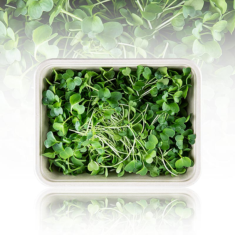 boordevol microgreens radijs, zeer jonge bladeren/zaailingen - 100 gram - PE-schaal