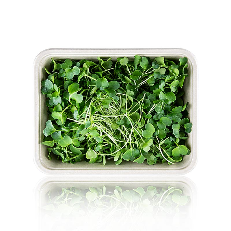 boordevol microgreens radijs, zeer jonge bladeren/zaailingen - 100 gram - PE-schaal