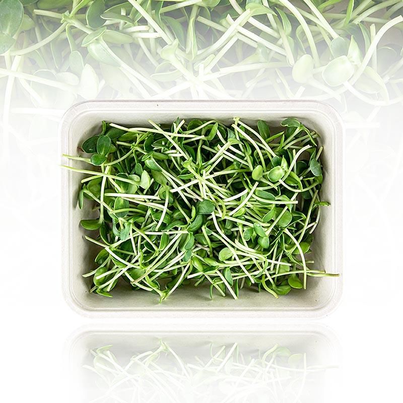 boordevol microgreens zonnebloem, zeer jonge bladeren/zaailingen - 100 gram - PE-schaal