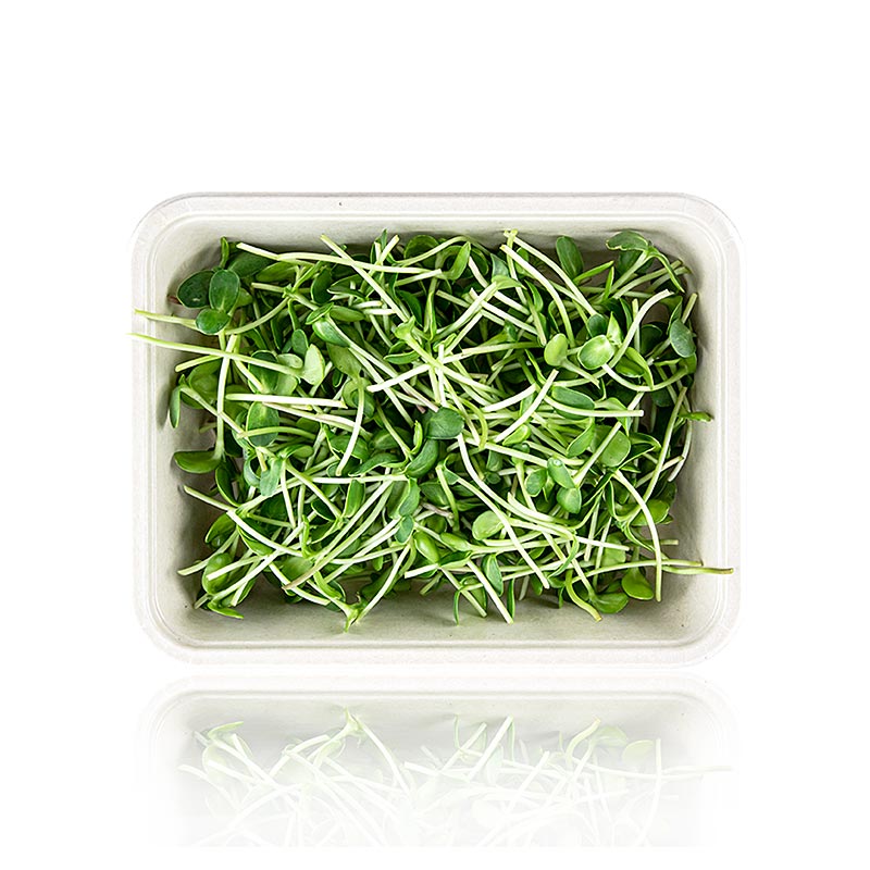 boordevol microgreens zonnebloem, zeer jonge bladeren/zaailingen - 100 gram - PE-schaal