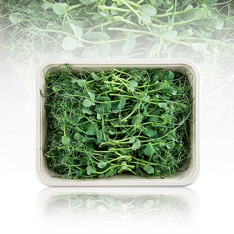 packed with microgreens peas, very young leaves / sprouts - 100 g - PE shell