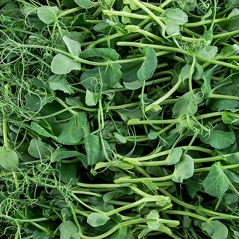 packed with microgreens peas, very young leaves / sprouts - 100 g - PE shell