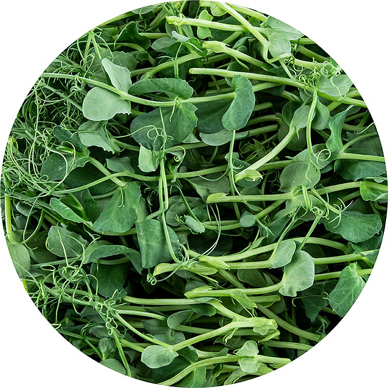 packed with microgreens peas, very young leaves / sprouts - 100 g - PE shell