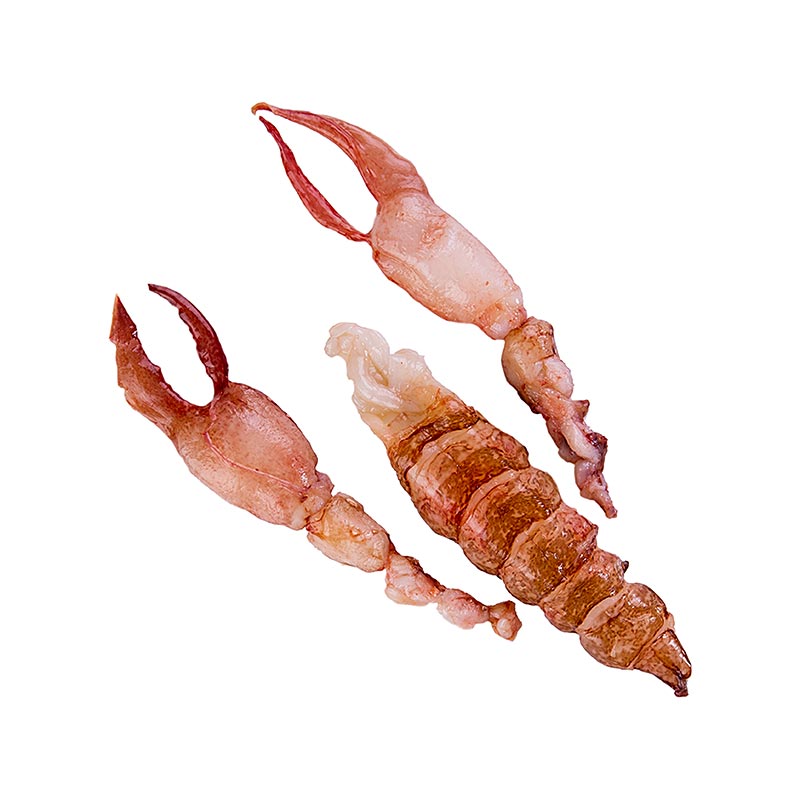 Chair de homard breton, cru, de queue + 2 pinces, gros, Rougie - environ 200 g - vide