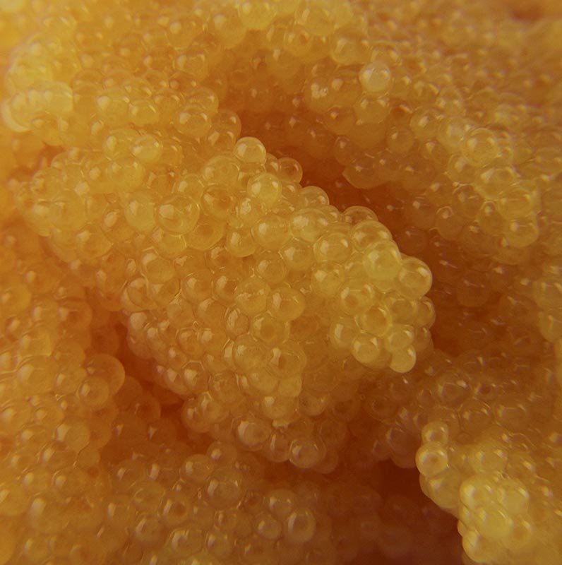 Havjar peshku te bardhe, Gjermani - 200 g - Xhami Havjar peshku te bardhe, Gjermani - 200 g - Xhami