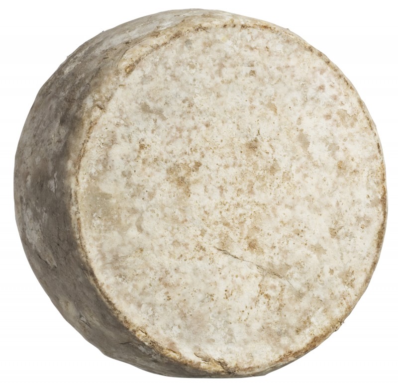 Tomme de Savoie AOC, queijo de leite de vaca cru com casca mofada, Alain Michel - aproximadamente 1,5 kg - Pedaco