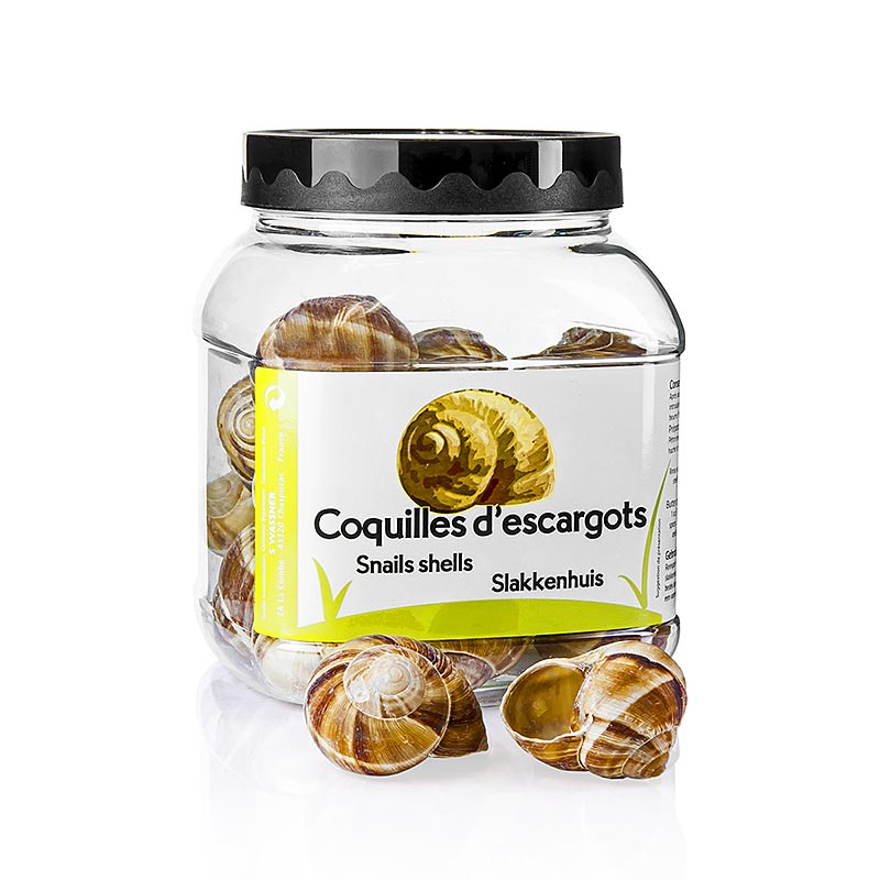 Conchas de caracol n 6 (grandes), para recheio ou decoracao - 24 pecas - Pe pode