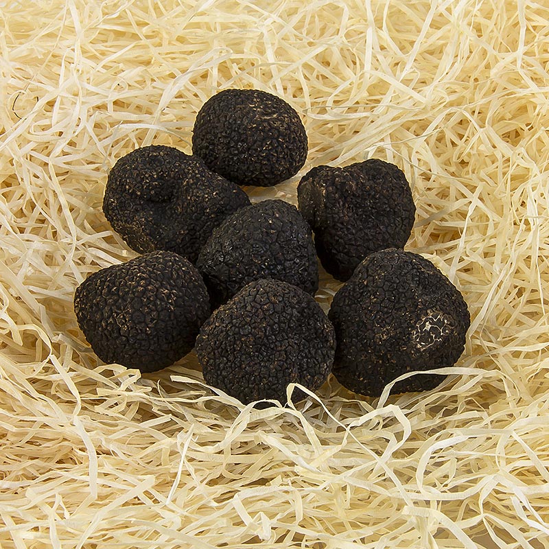 Trufa de invierno Tuber melanosporum 2. eleccion, fresca, pequena, Australia, tuberculos a partir de aprox. 30 g, junio/agosto - por gramo - 