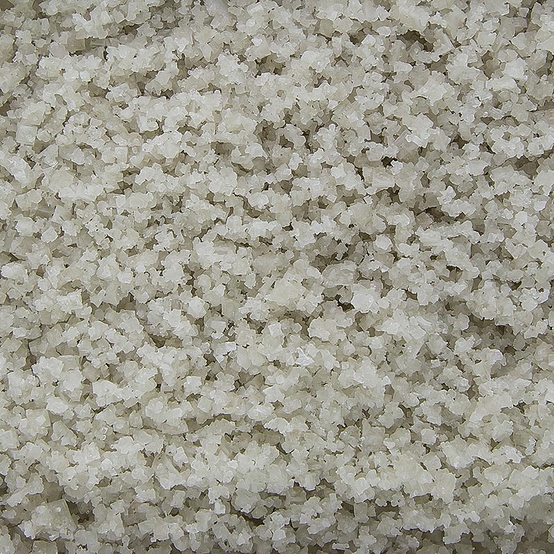 Sal marina, gruesa, gris, humeda, Guerande / Francia, TradySel - 1 kg - bolsa