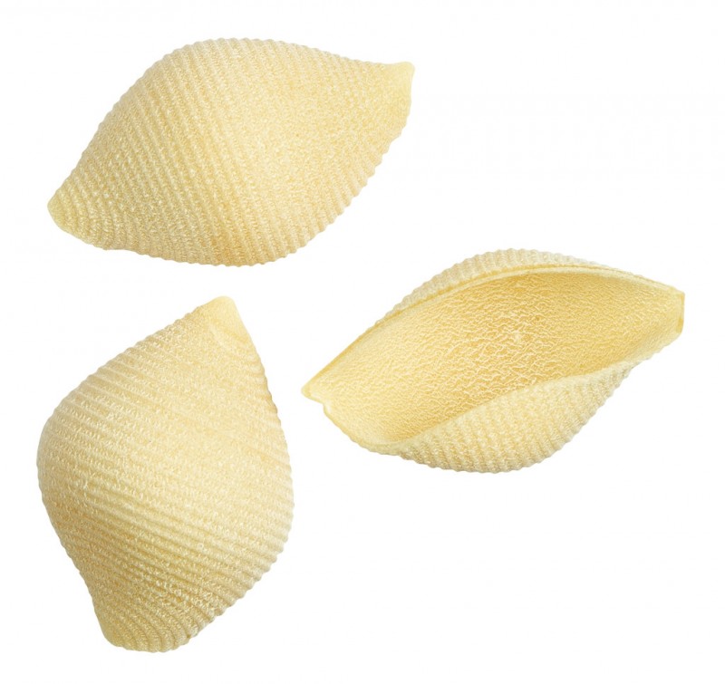 Conchiglioni IGP, pasta ur durum hveiti semolina, faella - 500g - pakka