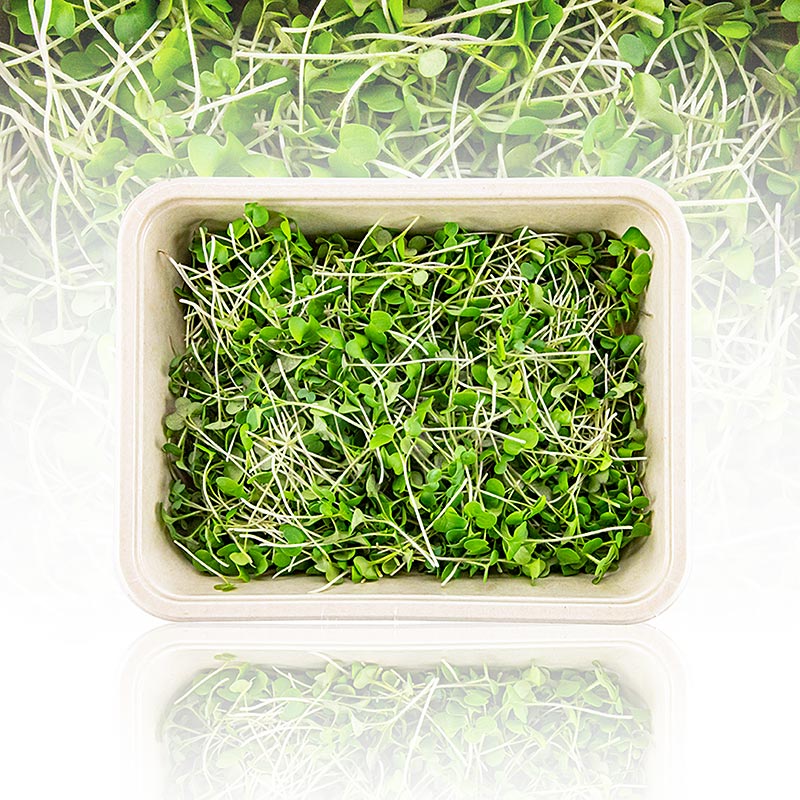 embalado com mostarda microgreens, folhas / mudas muito jovens - 75g - Concha PE