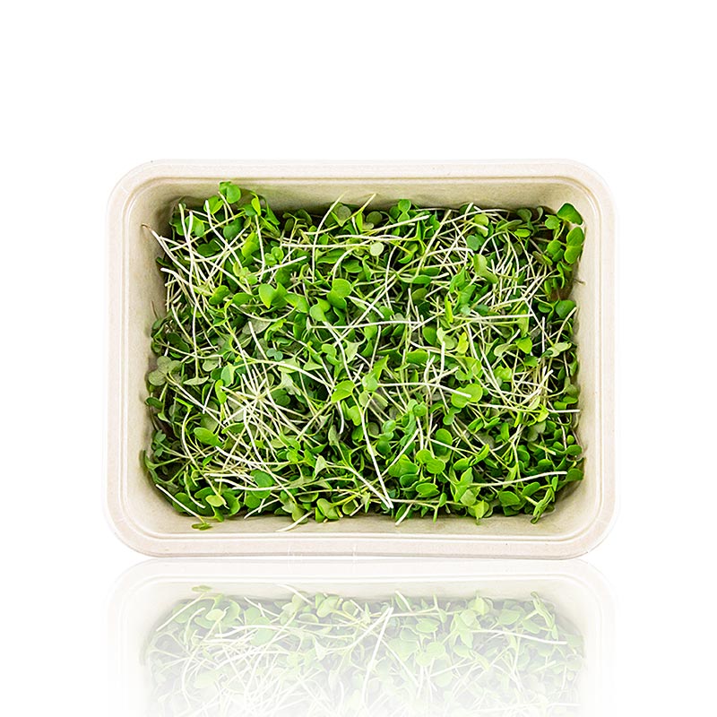 embalado com mostarda microgreens, folhas / mudas muito jovens - 75g - Concha PE