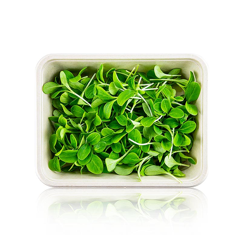 embalado com microgreens borragem, folhas / mudas muito jovens - 50g - Concha PE