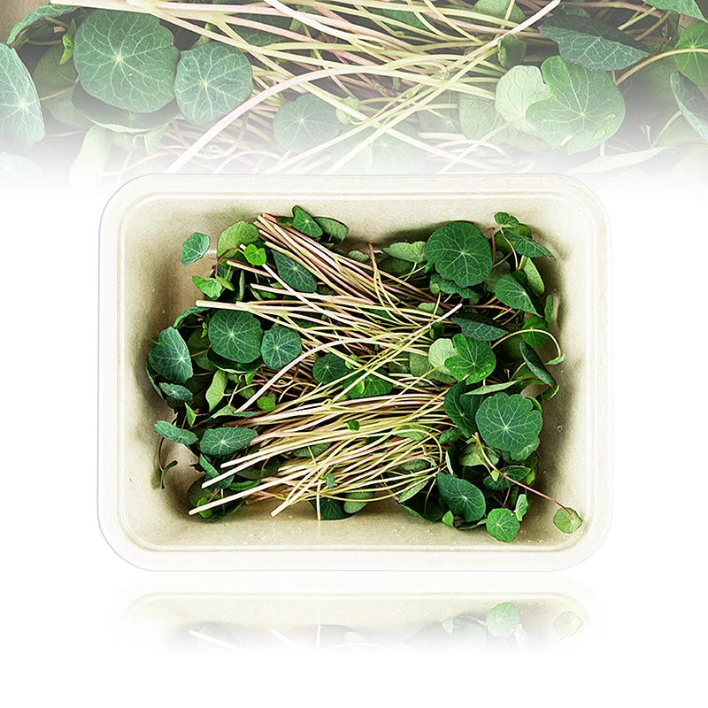 embalado com microgreens KapuchinerVerdes, folhas / mudas escuras e muito jovens - 50g - Concha PE