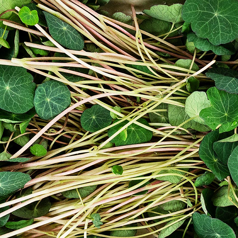 embalado com microgreens KapuchinerVerdes, folhas / mudas escuras e muito jovens - 50g - Concha PE