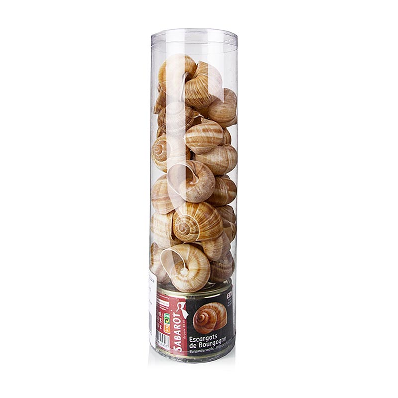 Set de caracoles - Helix Pomatia, 24 piezas + 24 conchas de caracol - 200 g, 24 piezas - poder