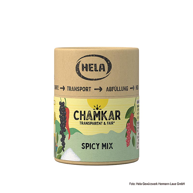 HELA Chamkar - Mix piccante, sale speziato - 115 g - Scatola degli aromi