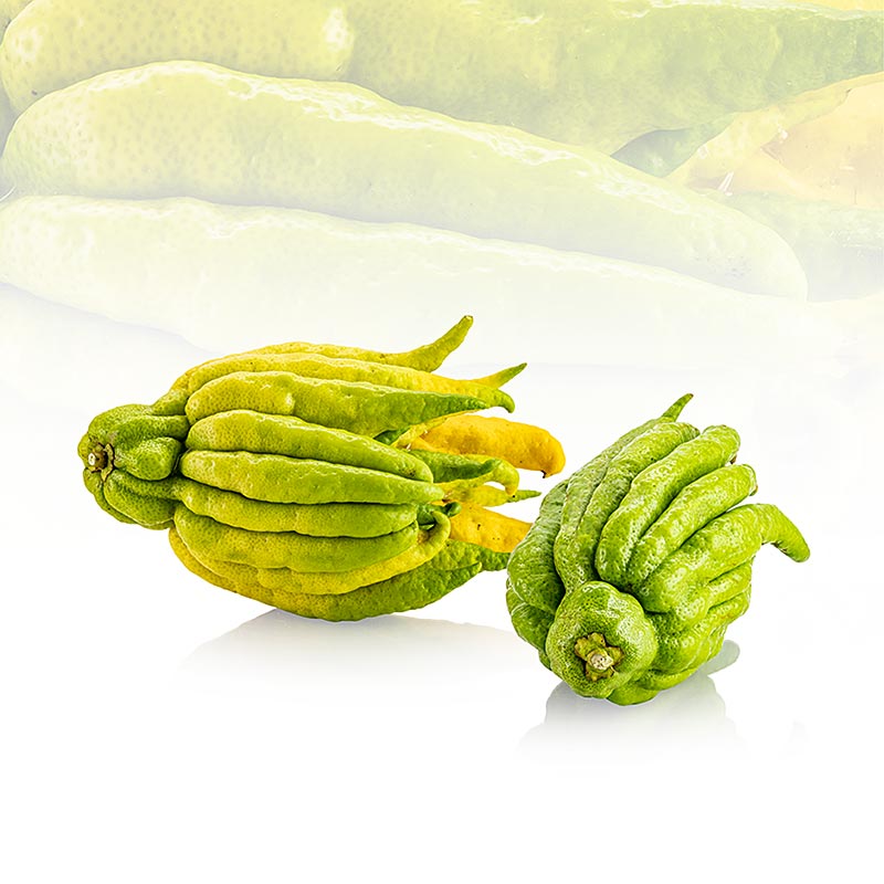 Buddhan kasi, sormi sitruuna (sitruunankuori), tuore - noin 1,1 kg, 1 kpl - Loysa