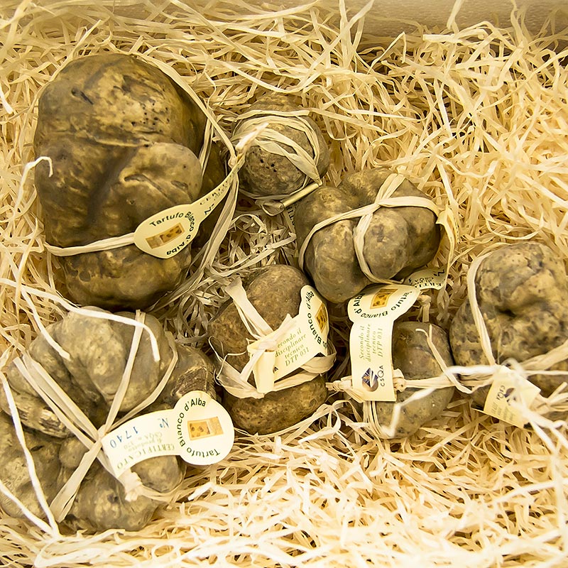 Trufa alba - din Alba (Tuber magnatum pico) - CERTIFICAT ALBA, AMBALAT INDIVIDUAL - pe gram - Lejer