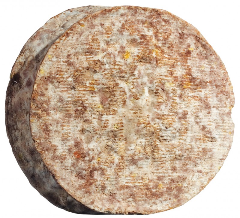 Tomme Crayeuse, queijo semiduro feito de leite de vaca com casca mofada, Alain Michel - aproximadamente 2kg - Pedaco