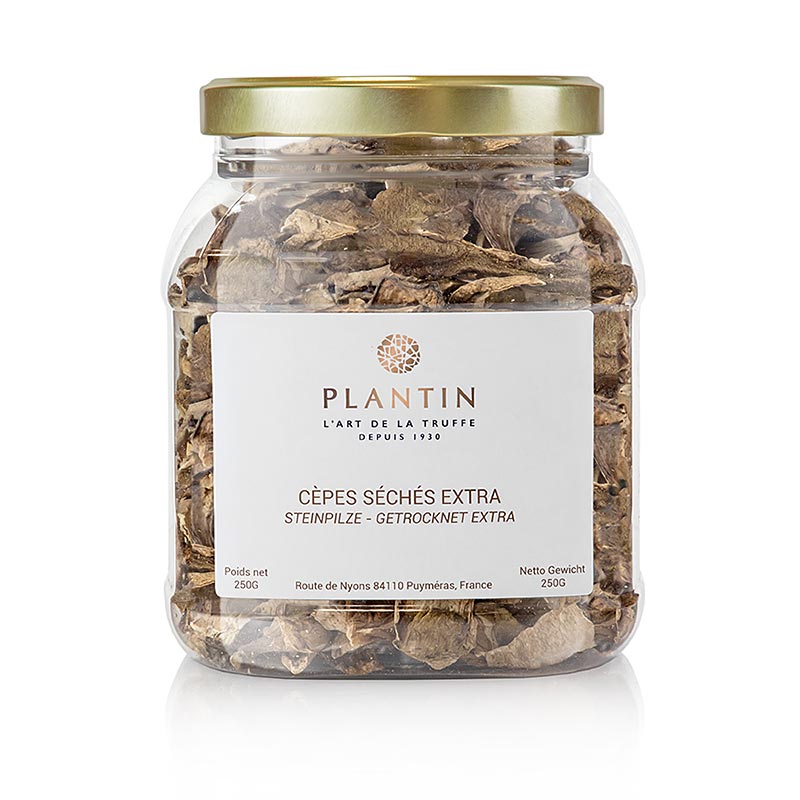 Ciuperci porcini - selectie, stralucitoare - 250 g - sac