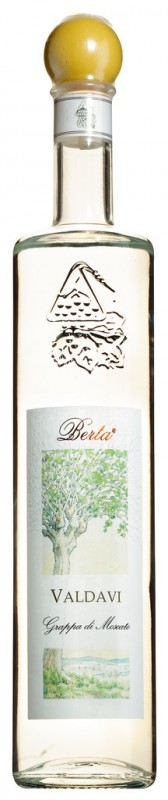 Valdavi, Grappa di Moscato, Grappa z wytlokow Moscato, Berta - Kanister 10 litrow - Sztuka