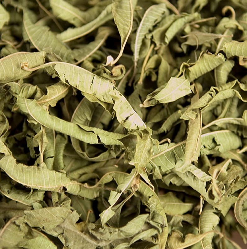 Citronska verbena / citronka (false verbena / verveine), celi listi - 500 g - torba