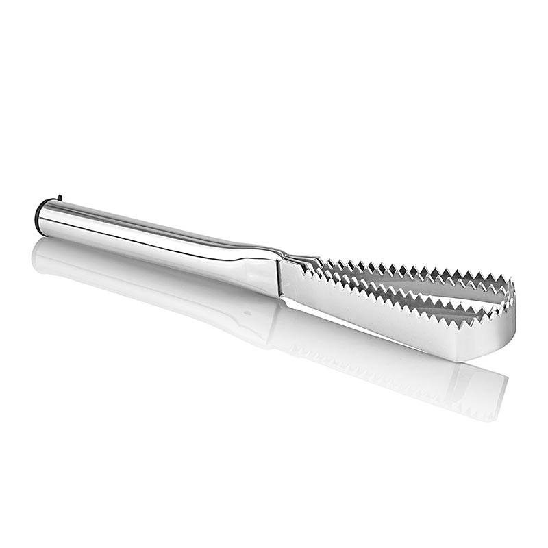 Shkallues peshku inox - 1 cope - Te lirshme