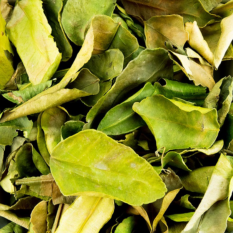 Lime leaves - kaffir leaves, whole, dried - 50 g - bag