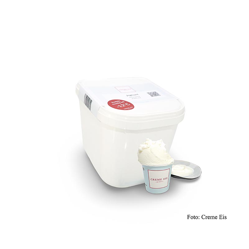 Helado de nata - yogur, inserto GN - 2.5L - carcasa de PE