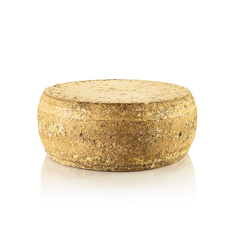 Deichkase EDEL, hard cheese, whole wheel, Hof Backensholz, ORGANIC - approx. 6.5 kg - vacuum