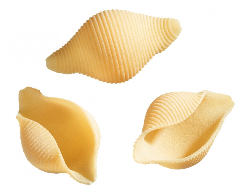 Conchiglioni, pates a la semoule de ble dur, Rustichella - 500g - paquet