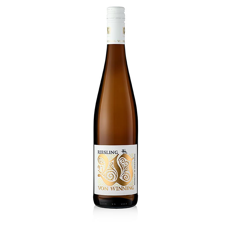 Von Winning 2022 Riesling Drache trocken Weißwein Gutswein Pfalz 0,75l - 750 ml - Flasche