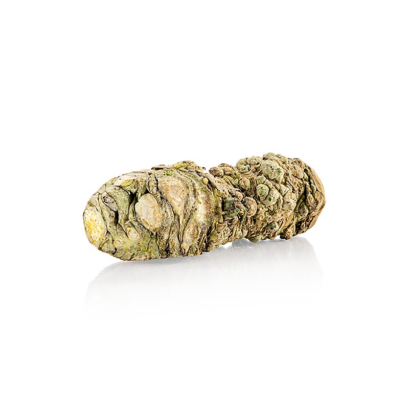 Wasabi, frais, entier., Allemagne - environ 120 g - vide