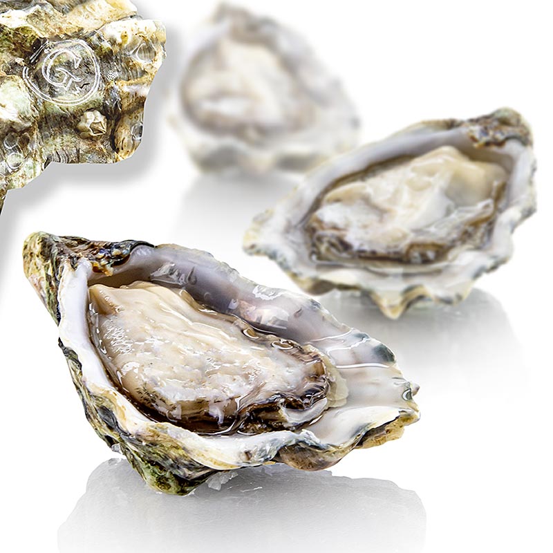 Fresh large oysters - Gillardeau G2 (Crassostrea gigas), a about 115g - 24 pieces approx. 115 g each - box