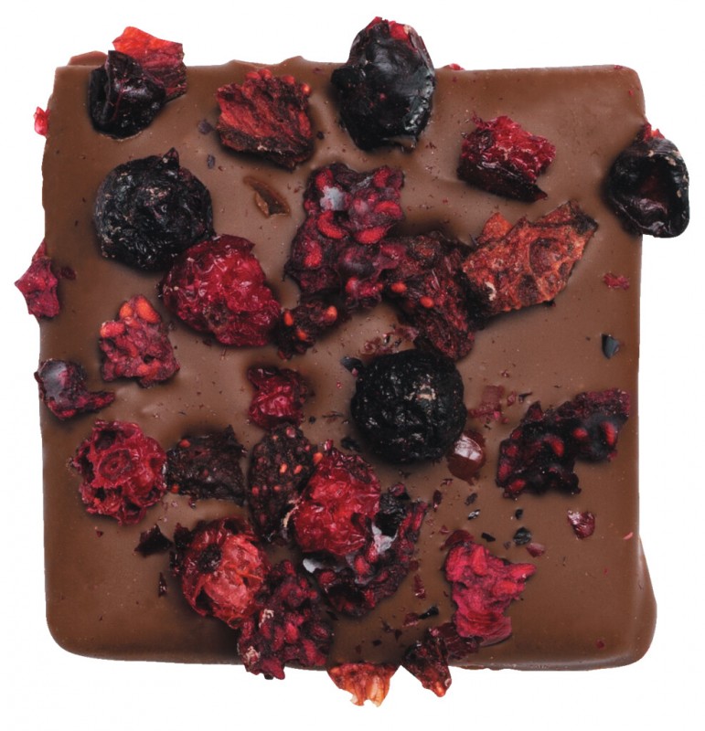 Caramel and Chocolat au lait et fruits rouges, Salted butter caramel with red berries, Dolfin - 45g - pack