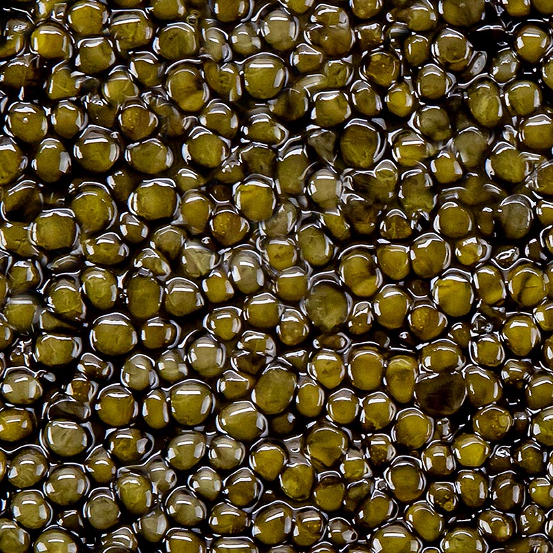 Selecao de caviar Ossetra (Acipenser gueldenstaedtii) - 30g - pode