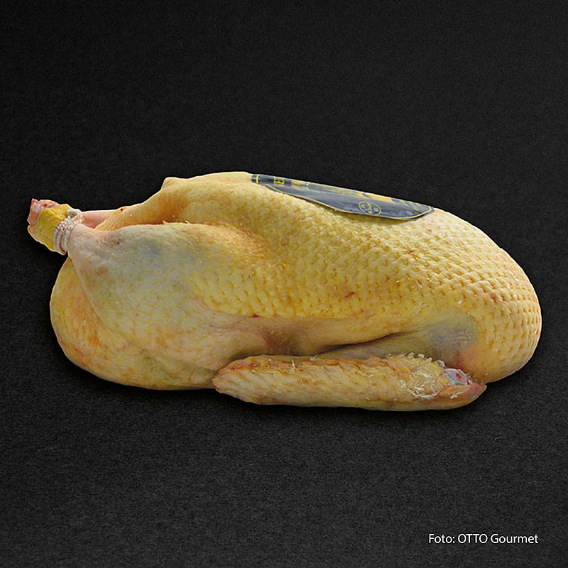 Mieral Barbarie Ente, ganz, Le Prince de Dombes, bratfertig, Otto Gourmet - ca.1,6 kg - Beutel