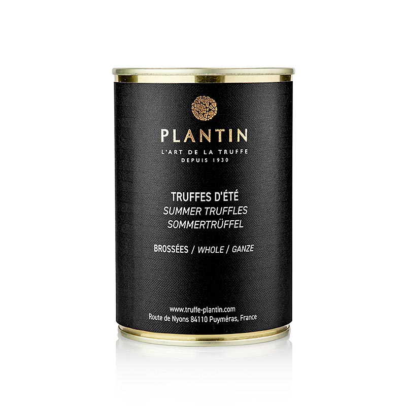 Sommertrüffel, ganze Trüffel, Plantin - 225 g - Dose