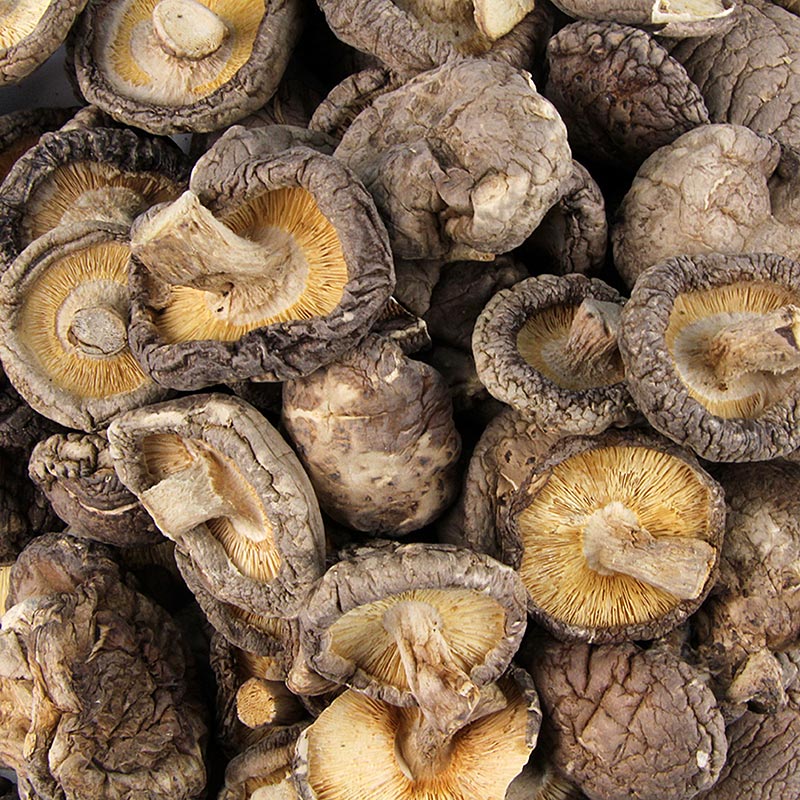 Getrocknete Shiitake Pilze (kleine Kalibrierung ø3-4cm) - 500 g - Beutel