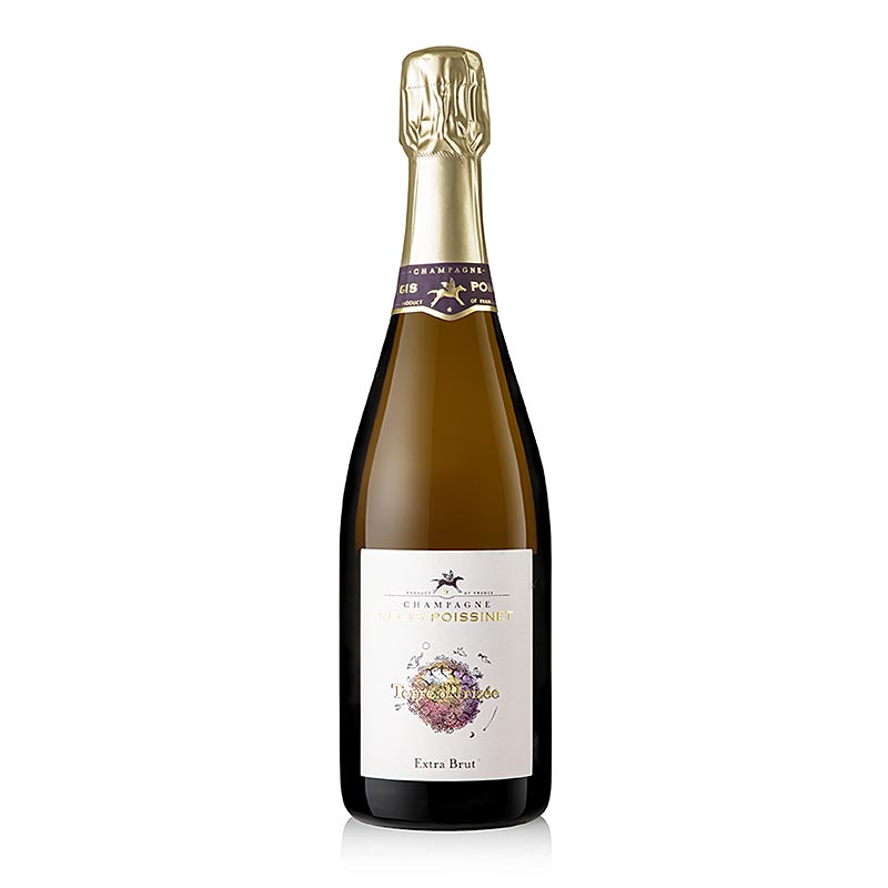 Champagner Regis Poissinet Terre d`Irizee, extra brut, 12 % vol. - 750 ml - Flasche