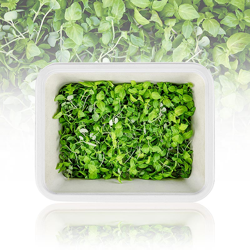 ricco di microgreens ShisoGreens, foglie giovani/piantine - 25 g - Guscio in PE