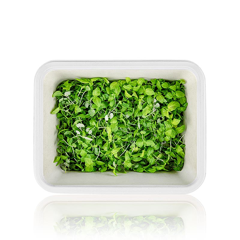 ricco di microgreens ShisoGreens, foglie giovani/piantine - 25 g - Guscio in PE