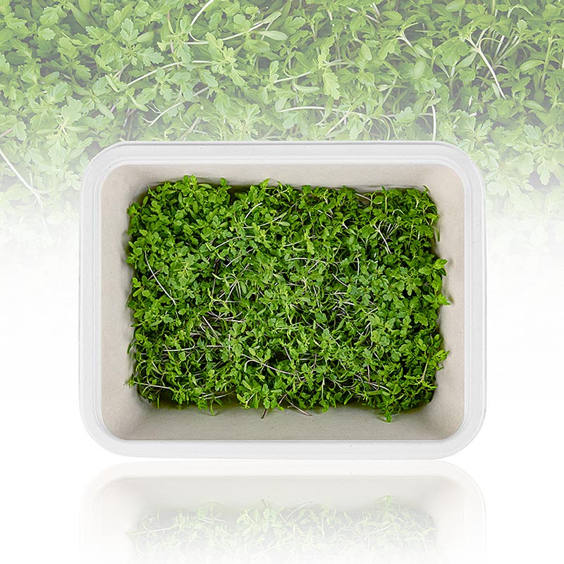 packed Microgreens Tagete Lemon, young leaves / seedlings - 25 g - PE shell