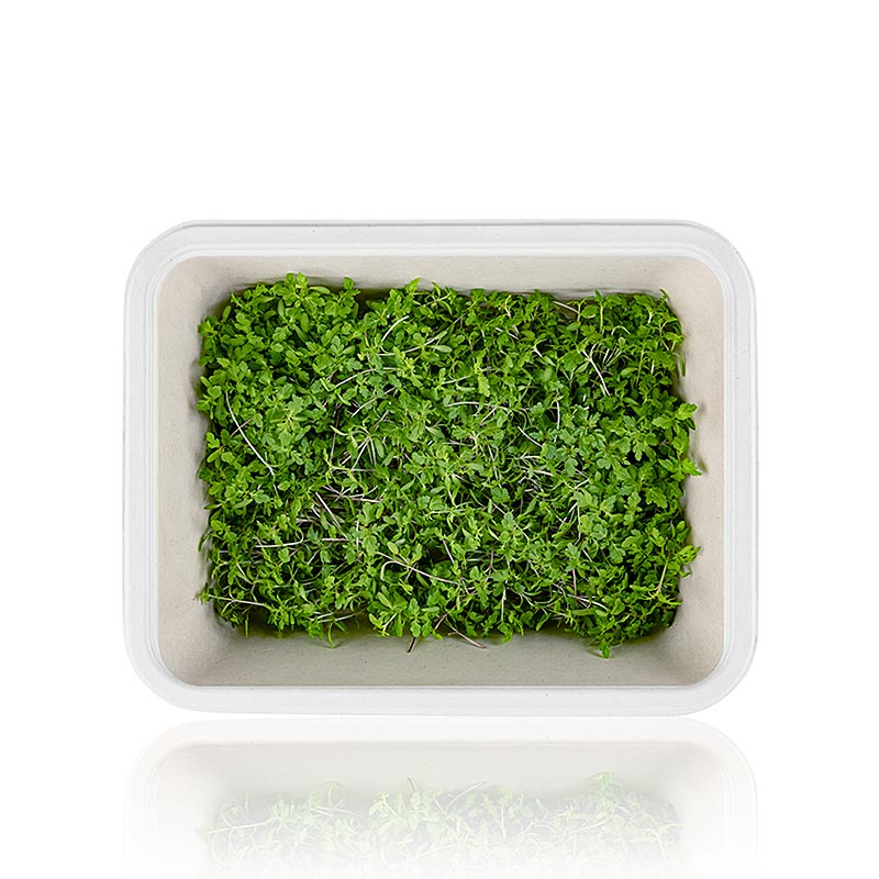 packed Microgreens Tagete Lemon, young leaves / seedlings - 25 g - PE shell