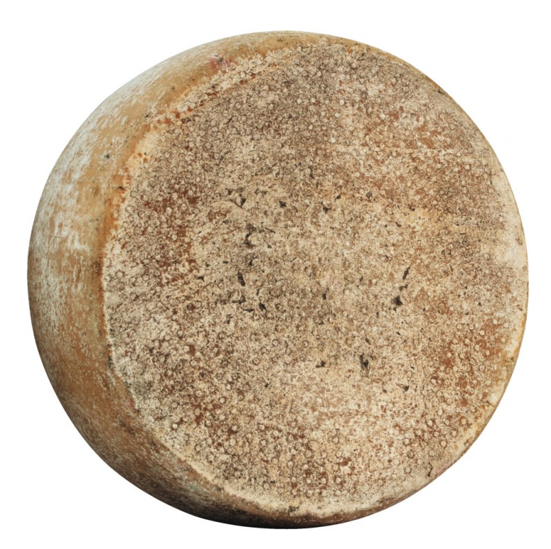 Pecorino stagionato a latte crudo, lifraenn, kindaostur, throskadhur, ur hramjolk, lifraenn, Busti - ca 2,2 kg - kg